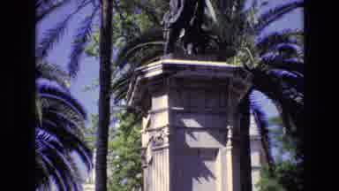 Spain (1972): Close Up Of Palm Trees