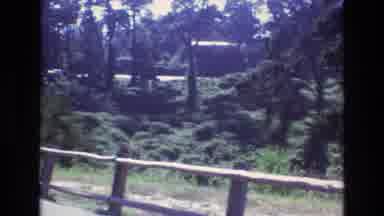 Central Coast California USA (1973): Panning Home Movie Of Traffic Outside A Park