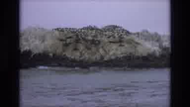 Central Coast California USA (1973): Beautiful Mountain Island View From The