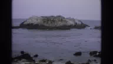 Central Coast California USA (1973): Tiny Island In The Ocean With Trees In The