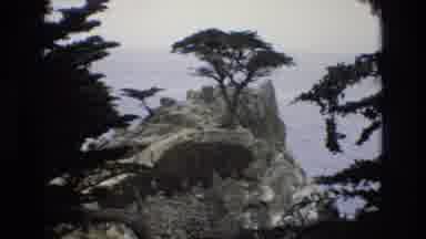 Central Coast California USA (1973): View Of A Few Trees On A High Rock On The