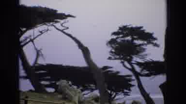 Central Coast California USA (1973): Pescadero Point Natural Area
