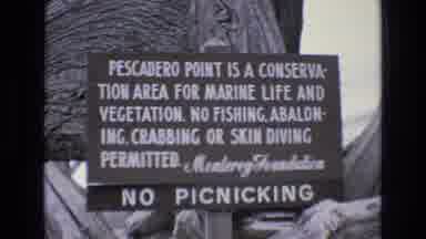 Central Coast California USA (1973): Marine Life Conservation Area