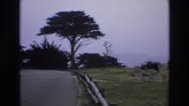Central Coast California USA (1973): Road With A Cliff And A Marina