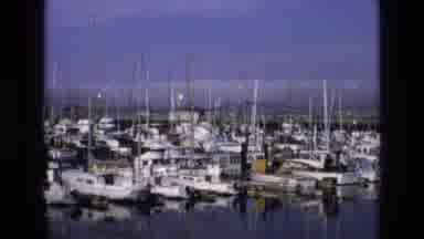 Central Coast California USA (1973): View Of Boats Docked At A Marina