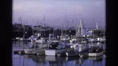 Central Coast California USA (1973): Seaside Marina And Quay With Man Walking Dog
