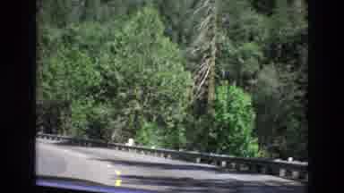 Central Coast California USA (1973): Driving Through Forest On Road