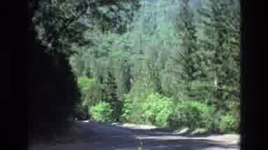 Central Coast California USA (1973): Tahoe City State Line Carson City Sign Seen