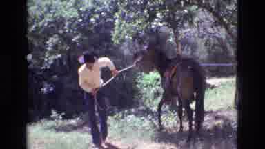 Colorado USA (1973): Man Pulling His Horse In Before Altering The Reigns