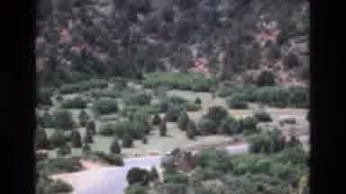 Colorado USA (1973): A Bunch Of Different Trees