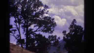 Colorado USA (1973): View Of Trees On Nearby Hillside With Mountains In The