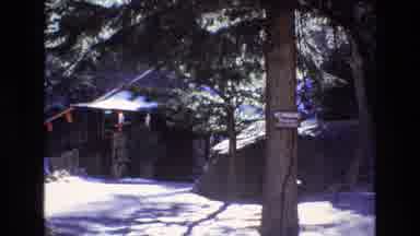 Colorado USA (1973): Cable Car In The Woods