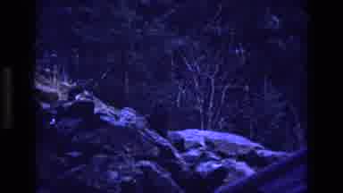 Colorado USA (1973): Dark Figure Seen By Rocky Ledge In Forest Late In The Day
