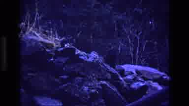 Colorado USA (1973): Night Out At The Park