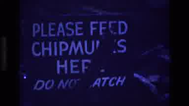 Colorado USA (1973): A Sign In Front Of A Bridge