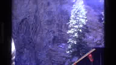 Colorado USA (1973): A Platform Overlooks A Rocky Cliff That Has A Forest Sitting