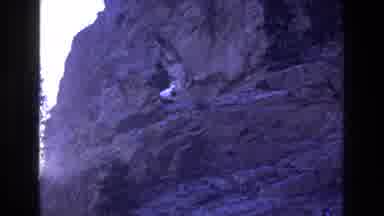 Colorado USA (1973): Goat On The Side Of A Cliff