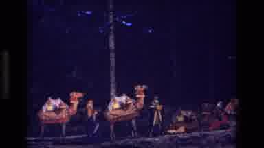Colorado USA (1973): Camel Train Waiting For Passengers