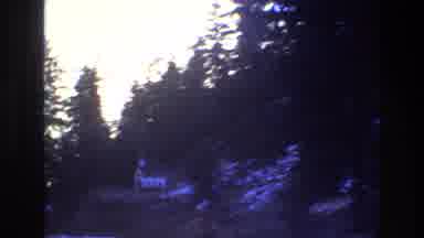 Colorado USA (1973): Trees With Cliff Behind