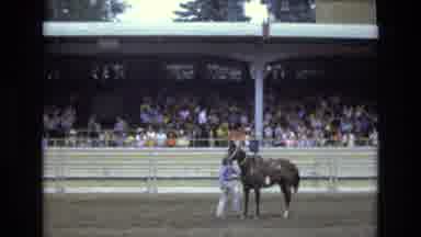 COLORADO SPRINGS COLORADO USA .-1973: Cowboy Successfully Calf A Steer A Drags
