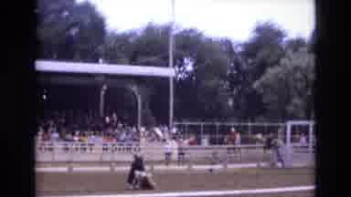 COLORADO SPRINGS COLORADO USA .-1973: Man Hits An Animal In Front Of The Stands
