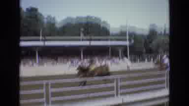 COLORADO SPRINGS COLORADO USA .-1973: Horses Racing Down Track Bucking Rider