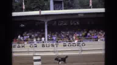 COLORADO SPRINGS COLORADO USA .-1973: Arena Crowd Watching From Seats While