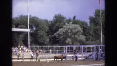 COLORADO SPRINGS COLORADO USA .-1973: A Group Of Men Harass A Bull In A Stadium
