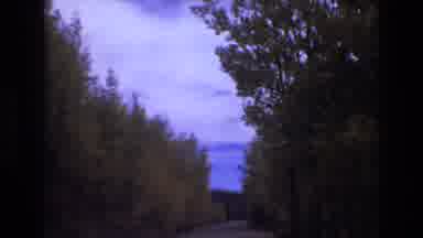 COLORADO SPRINGS COLORADO USA .-1973: Dark Green Trees Sky Cactus Plant Moving