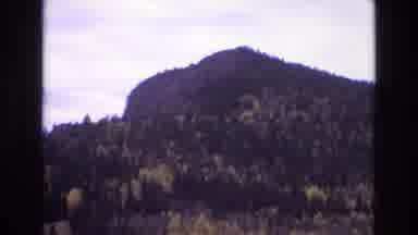 COLORADO SPRINGS COLORADO USA .-1973: A Mountain Covered In Trees Changing