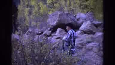 COLORADO SPRINGS COLORADO USA .-1973: Man Takes Photo Of Wildlife