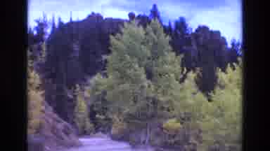 COLORADO SPRINGS COLORADO USA .-1973: Scenic Unimproved Road With Trees Blowing