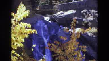 COLORADO SPRINGS COLORADO USA .-1973: Waterfalls In The Woods In The Autumn