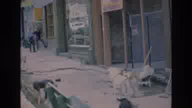 COLORADO SPRINGS COLORADO USA .-1973: Standing Men Talking as Dogs Run Near Sidewalk Construction