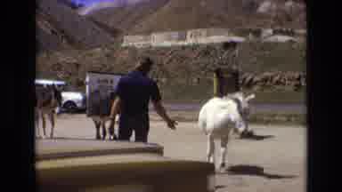 COLORADO SPRINGS COLORADO USA .-1973: A Man In A Blue Shirt Directing Line Of