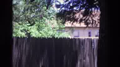 COLORADO SPRINGS COLORADO USA .-1973: Squirrel Falls Off Fence Man On Dock