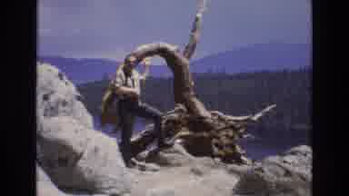 Lake Tahoe Nevada USA (1973): Nature And Wildlife