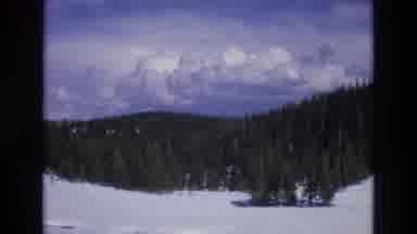 Lake Tahoe Nevada USA (1973): The View From A Road Through A Snowy Forest