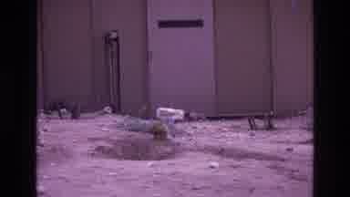 New Mexico USA (1973): Animal Walking Groundhog Holes