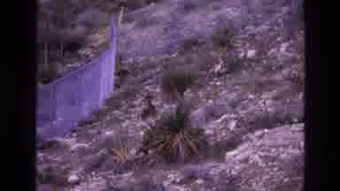 New Mexico USA (1973): Rocky Hillside And Ducks In Lagoon