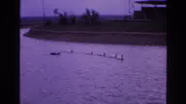 New Mexico USA (1973): Ducks Swimming In Water One Different