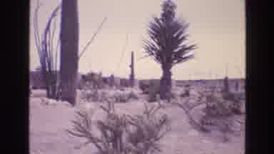 New Mexico USA (1973): Two People Watch Their Garden