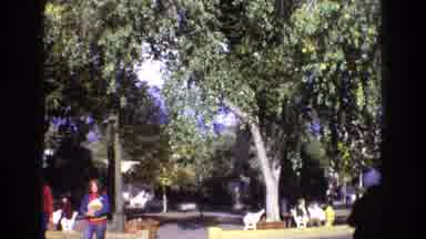 New Mexico USA (1973): Southwest Town Has Goat Issue They Seem To Have Invaded The