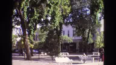 New Mexico USA (1973): White Park Benches Near Tree In Park Next To Road