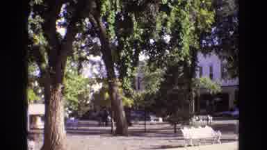 New Mexico USA (1973): Pretty Trees In Small Town