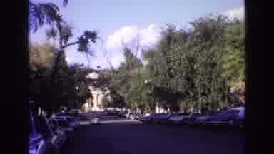 New Mexico USA (1973): An Approaching Car On A Wide Street Lined With Trees And
