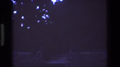 New Mexico USA (1973): Dark Footage Of Railing And Steps Leading Into Dark Forest