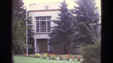 New Mexico USA (1973): The Single Building Full Covered Tree With A Beautiful