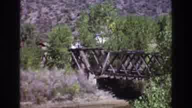 New Mexico USA (1973): Taking A Walk Through The Woods