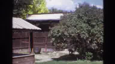 New Mexico USA (1973): Small Shacks Standing Near Wooden Fencing Dirt Large Tree